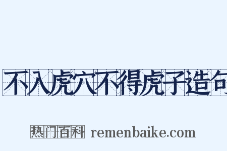 不入虎穴不得虎子造句是什么意思的图片